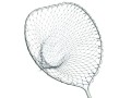 Image10.jpg