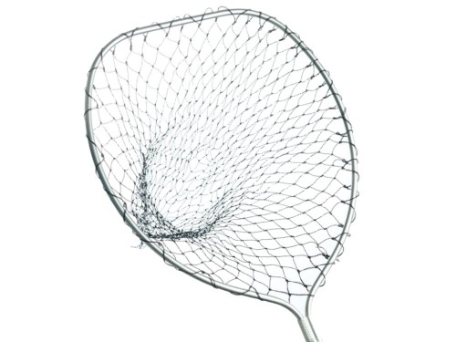 Image10.jpg