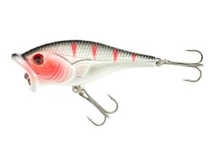 JAXON WOBLER ATRACT COSMA F 7,0cm C