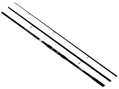 zaffira Carp.jpg