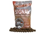 Kulki Tonące 10mm Starbaits 50ml SIGNAL