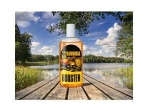 INVADER Booster 250ml Hannibal