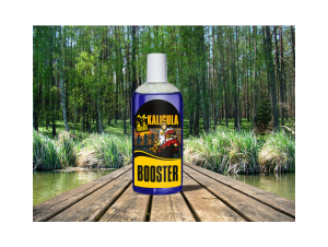 INVADER Booster 250ml Kaligula