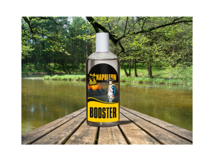 INVADER Booster 250ml Napoleon