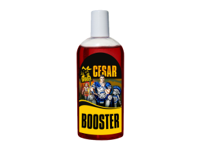 INVADER Booster 250ml Cesar
