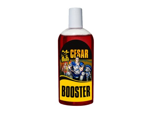 booster-cesar.png