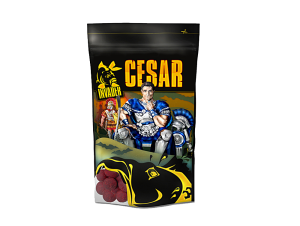 INVADER Kulki zanętowe 20mm 800g Hannibal