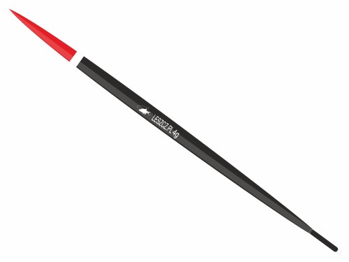 SPŁAWIK_thorn.jpg
