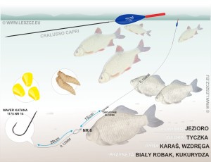 CRALUSSO ZESTAW 306 - SPŁAWIK CAPRI - KARP, KARAŚ 0,75G