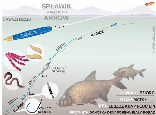 ZESTAW_K_ŚLEDZIOWY_ARROW_CZECH1000.jpg