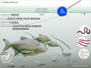 CRALUSSO ZESTAW  316  - SPŁAWIK Ray NA STOPA 12g