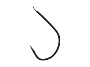 JAXON HACZYKI SUMATO CHINTA HCA