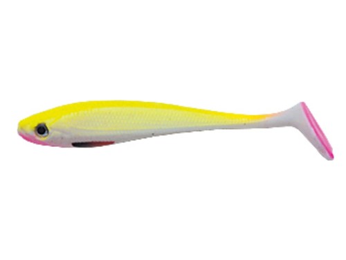 TG-INA_M.jpg