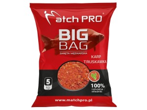 MP Zanęta Big Bag 5kg KARP TRUSKAWKA