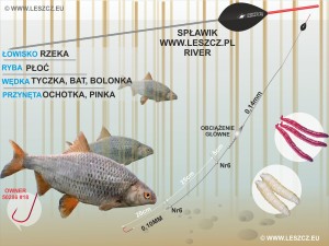 WWW.LESZCZ.PL ZESTAW 319 RIVER  PŁOĆ MAŁA RZEKA 1G