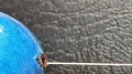 20230505_085627.jpg