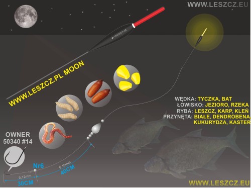www_leszcz_pl_MOON_LESZCZE.jpg