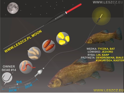 www_leszcz_pl_MOON_LINY.jpg