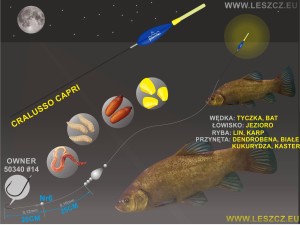 CRALUSSO ZESTAW 323 CAPRI- NOCKA-LIN 3G