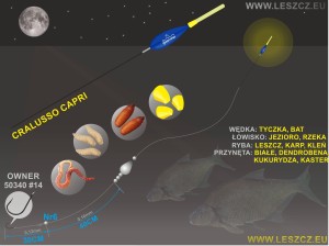 CRALUSSO ZESTAW 324 CAPRI- NOCKA-LESZCZ 6G