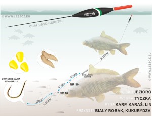 CRALUSSO ZESTAW GENETIC - KARP 0,8G