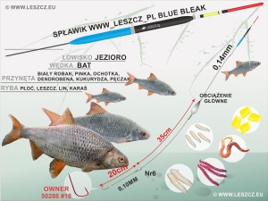 WWW.LESZCZ.PL ZESTAW 330 - SPŁAWIK BLUE BLEAK 1g