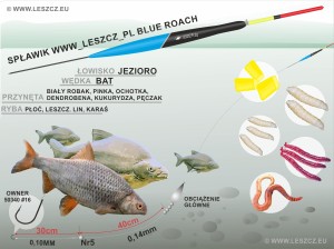 WWW.LESZCZ.PL ZESTAW 329 - SPŁAWIK BLUE ROACH 2g