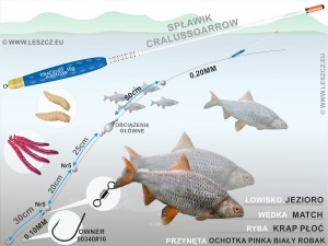 CRALUSSO ZESTAW 339 - SPŁAWIK ARROW - PŁOĆ, KRĄP 8g