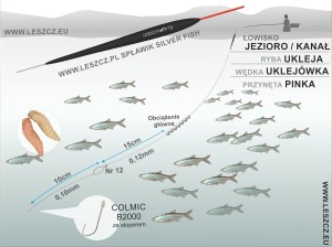 WWW.LESZCZ.PL ZESTAW 347 - SPŁAWIK SILVER FISH 0,5g