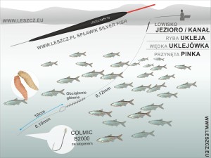 WWW.LESZCZ.PL ZESTAW 348 - SPŁAWIK SILVER FISH 1g