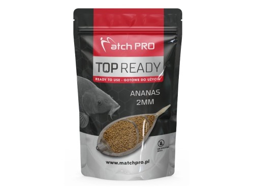 Ready Ananas 2.jpg
