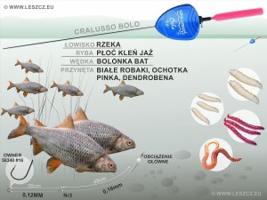 CRALUSSO ZESTAW 133 - SPŁAWIK BOLO - RZEKA 3G