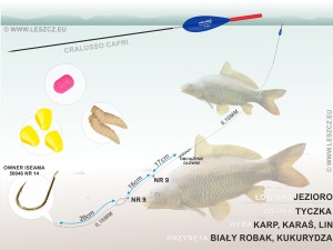  CRALUSSO ZESTAW 305 - SPŁAWIK CAPRI - KARP, KARAŚ 0,3G