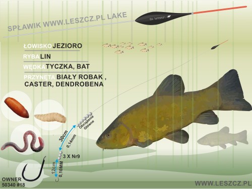 271_zestaw_www.leszcz_LAKE_LIN_H.jpg