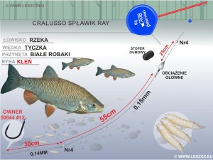 CRALUSSO ZESTAW 336 - SPŁAWIK RAY - KLEŃ 30G