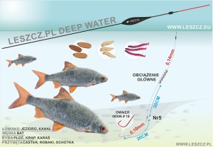 LESZCZ.PL ZESTAW 340 - SPŁAWIK DEEP WATER - PŁOĆ - BAT 4g