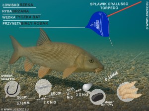  Cralusso Zestaw 287 - spławik Torpedo - Bardzo duże brzany 50g