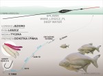 WWW.LESZCZ.PL ZESTAW 284 - SPŁAWIK DEEP WATER - LESZCZ Z JEZIORA 4g