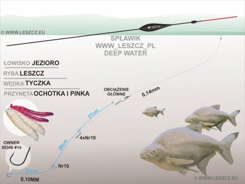 284.jpg