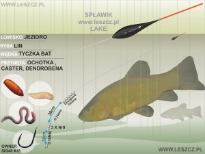 WWW.LESZCZ.PL ZESTAW 278 - SPŁAWIK LAKE - LIN 0,3G