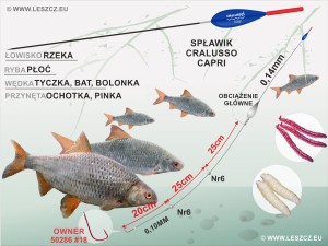 CRALUSSO ZESTAW 183 - SPŁAWIK CAPRI - RZEKA 5,0G