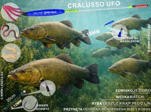 CRALUSSO ZESTAW 375 - SPŁAWIK UFO 6g