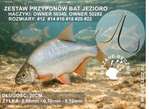 373_przypony_jezioro_bat.jpg