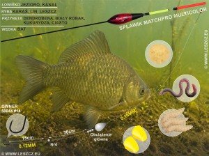 MatchPRO Zestaw 386 - spławik Multicolor 1g