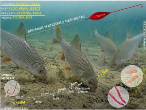 MatchPRO Zestaw 389 - spławik Red Metal 1,25g