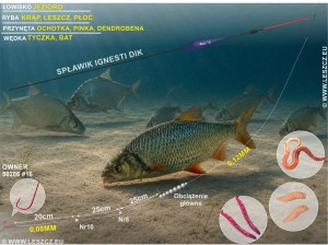 Ignesti Zestaw 106 - spławik DIK 0,75g