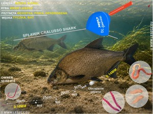 Cralusso Zestaw 111 - spławik Shark - Rzeka -Leszcz, Krąp 50g