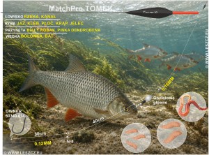 MatchPro Zestaw 385 - spławik Black Tomek 1g