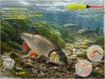 MatchPro Zestaw 386 - spławik Bolo 1 - 4g