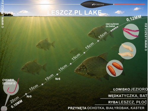 zestaw 390_1.jpg